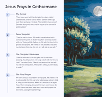 Easter Unit Lesson 5: Jesus in the Garden of Gethsemane