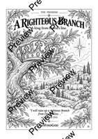 The Birth of Jesus — Christmas Coloring Collection 2026 (30 pages -Printable PDF)