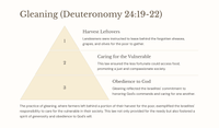 Deuteronomy 24: Teachings for a Just Society