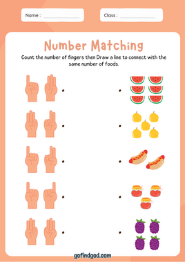 Math Activity Worksheets - Number Matching