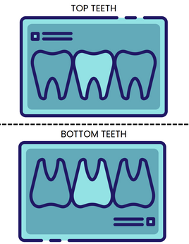 Role-Play - Dentist Theme - Teeth x-ray