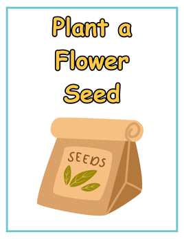Role-Play - Flower Shop - Plant a Seed