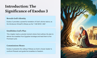 The Burning Bush: Exodus 3 Explored